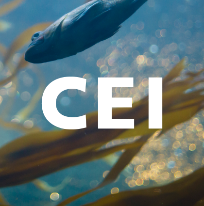 CEI